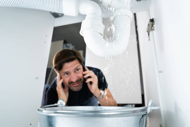 Best Hot Water Heater Installation  in Alamo, TN