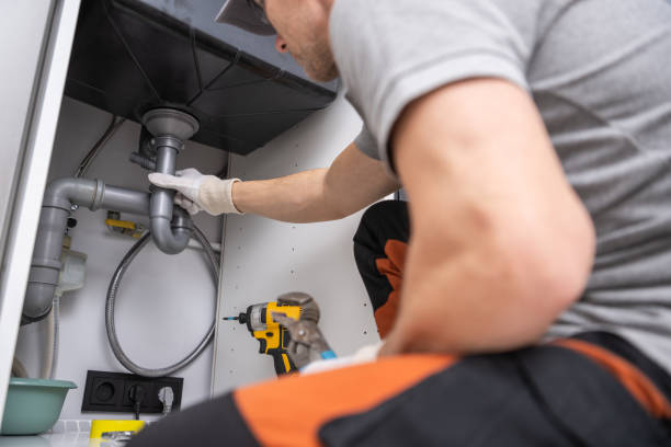 Best Clogged Drain Plumber  in Alamo, TN